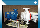 Training service from Projitech